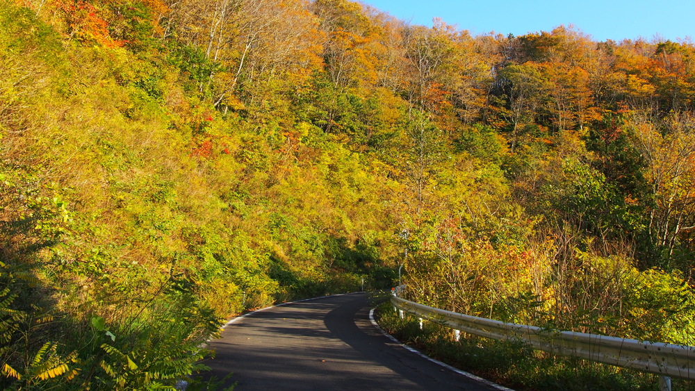 【17.2㎞】北のドルフィン　オールランの写真3