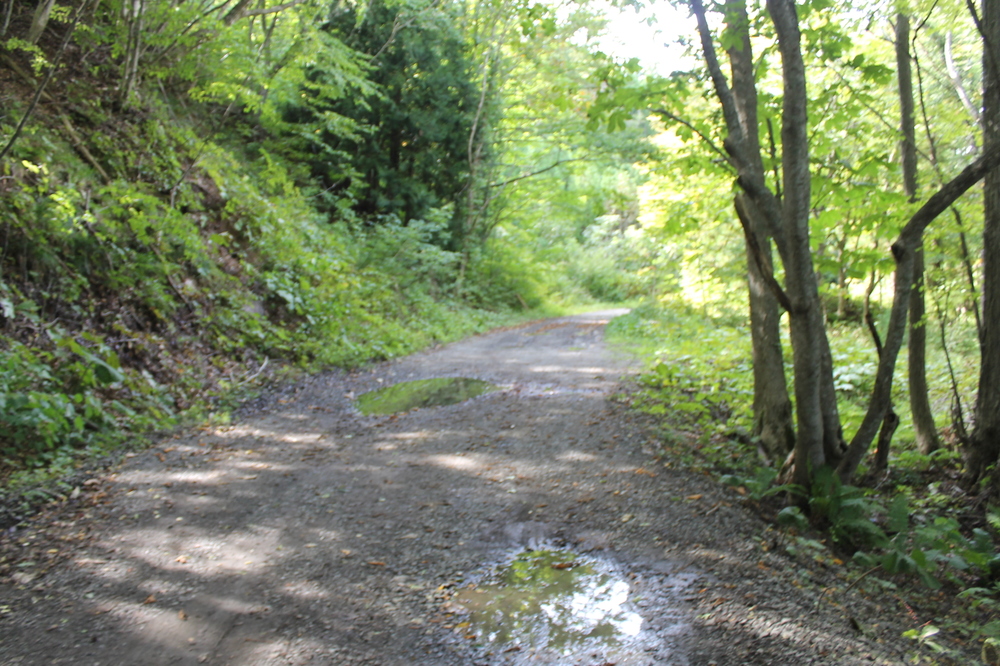 【17.2㎞】北のドルフィン　オールランの写真5