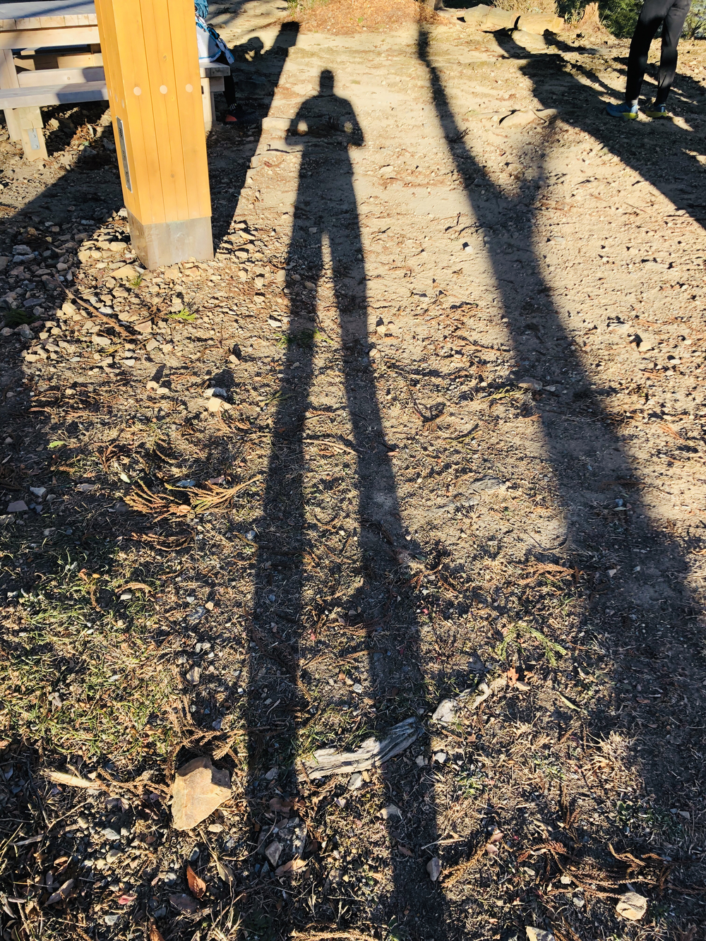 ハセツネ30k コンプリートコースの写真7