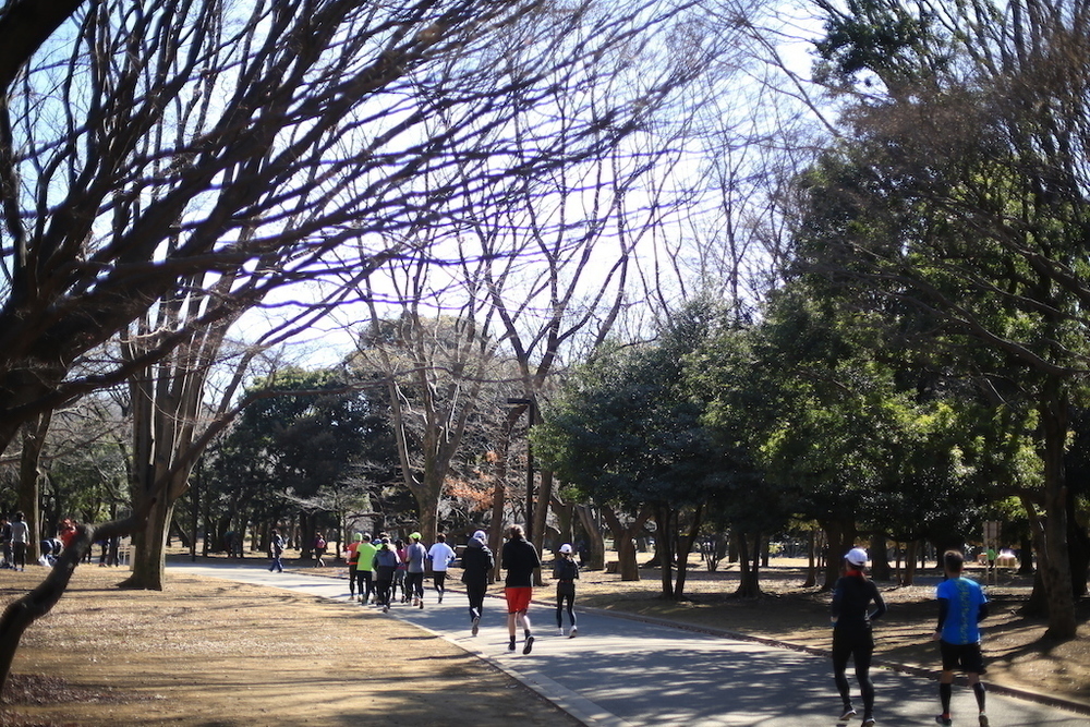 1周1160m・代々木公園周回コースの写真3