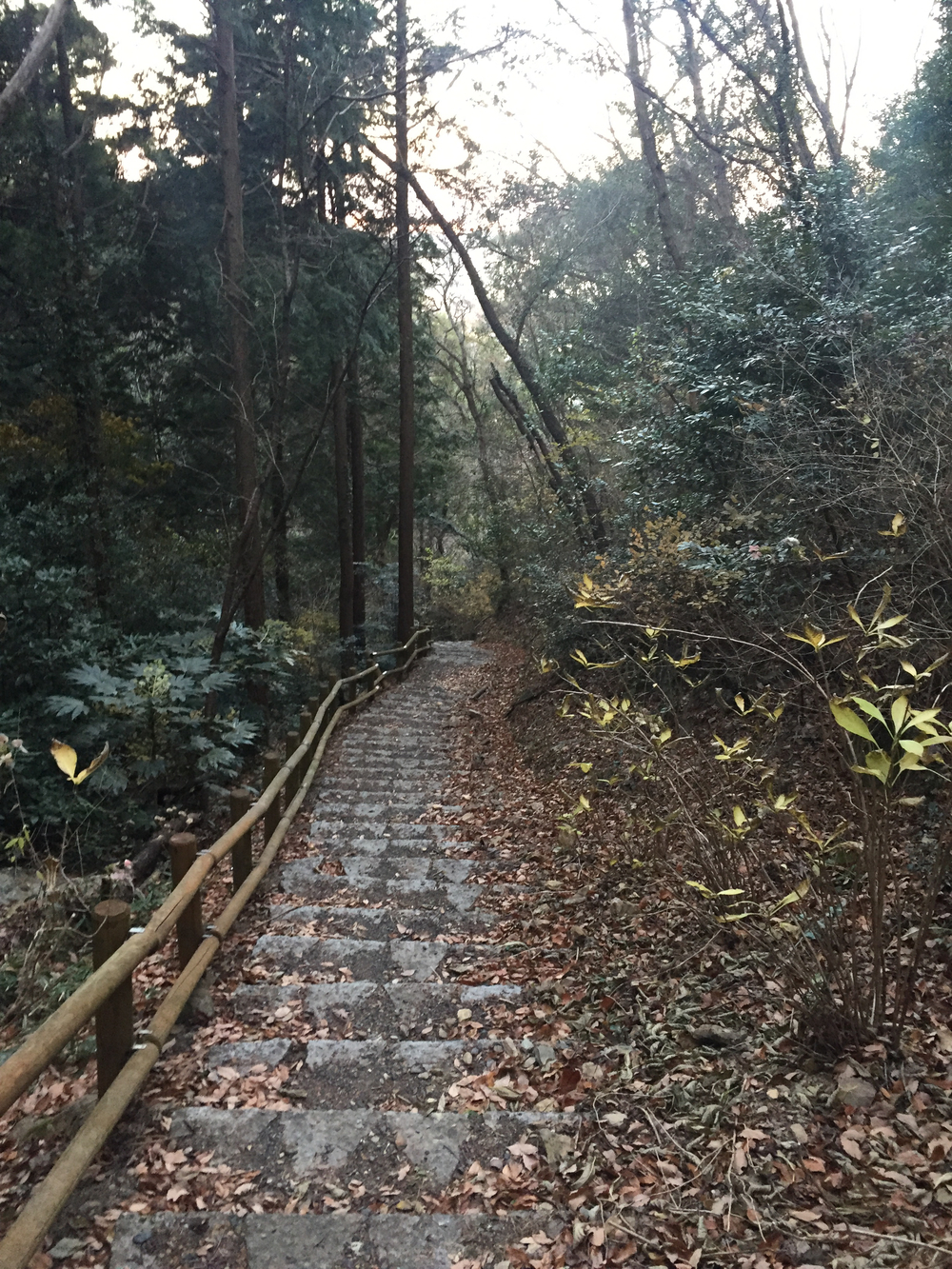 伊勢二見  音無山からの日の出の写真4