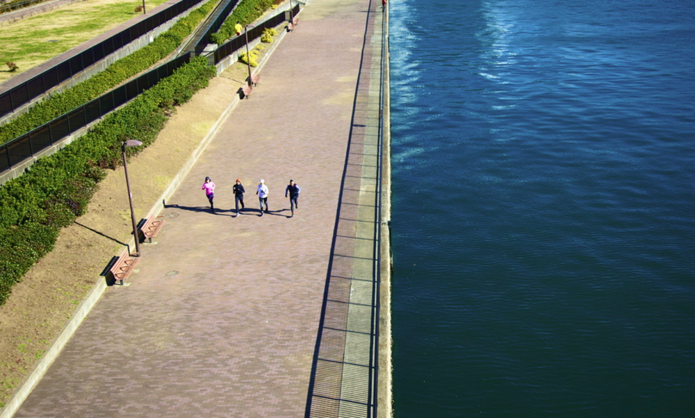 お台場〜レインボーブリッジまでぐるりと1周の写真3