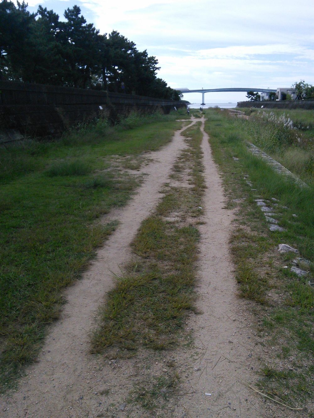 芦屋　芦屋川沿いＲＵＮ～芦屋探索コースの写真3