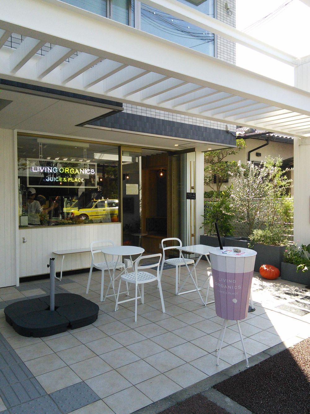 芦屋　芦屋川沿いＲＵＮ～芦屋探索コースの写真6