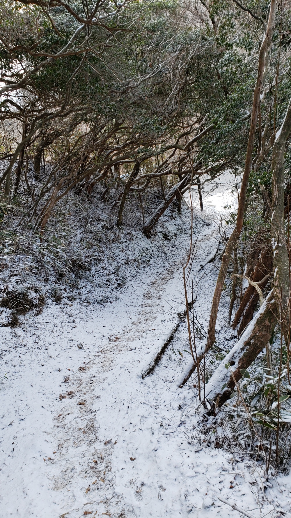 東六甲縦走コースの写真4
