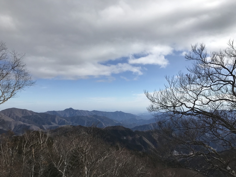 95%トレイル！　30K D+1600　三頭山〜西原峠〜醍醐山〜和田峠（バス停）の写真3