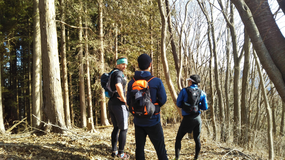 95%トレイル！　30K D+1600　三頭山〜西原峠〜醍醐山〜和田峠（バス停）の写真5