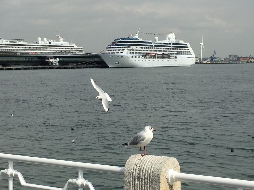 みなとみらいをたっぷり味わうゆったりコースの写真6