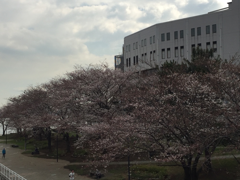 みなとみらいをたっぷり味わうゆったりコースの写真7