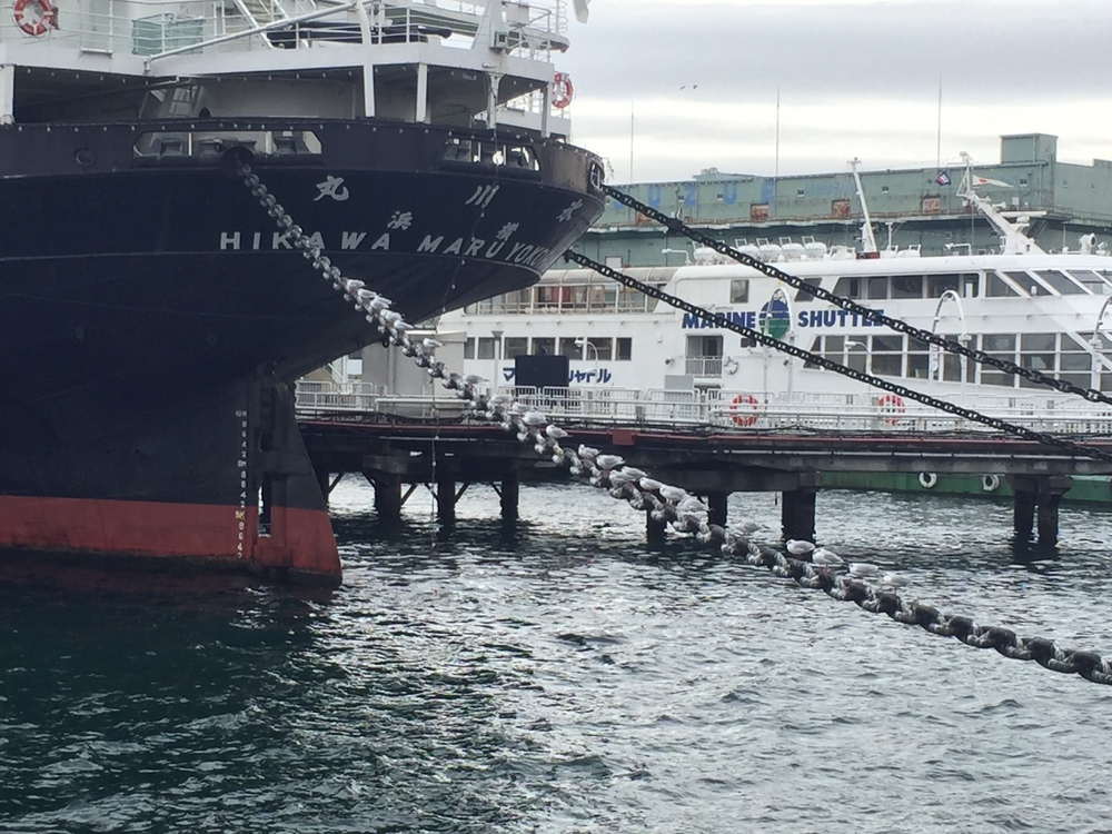 みなとみらいをたっぷり味わうゆったりコースの写真8