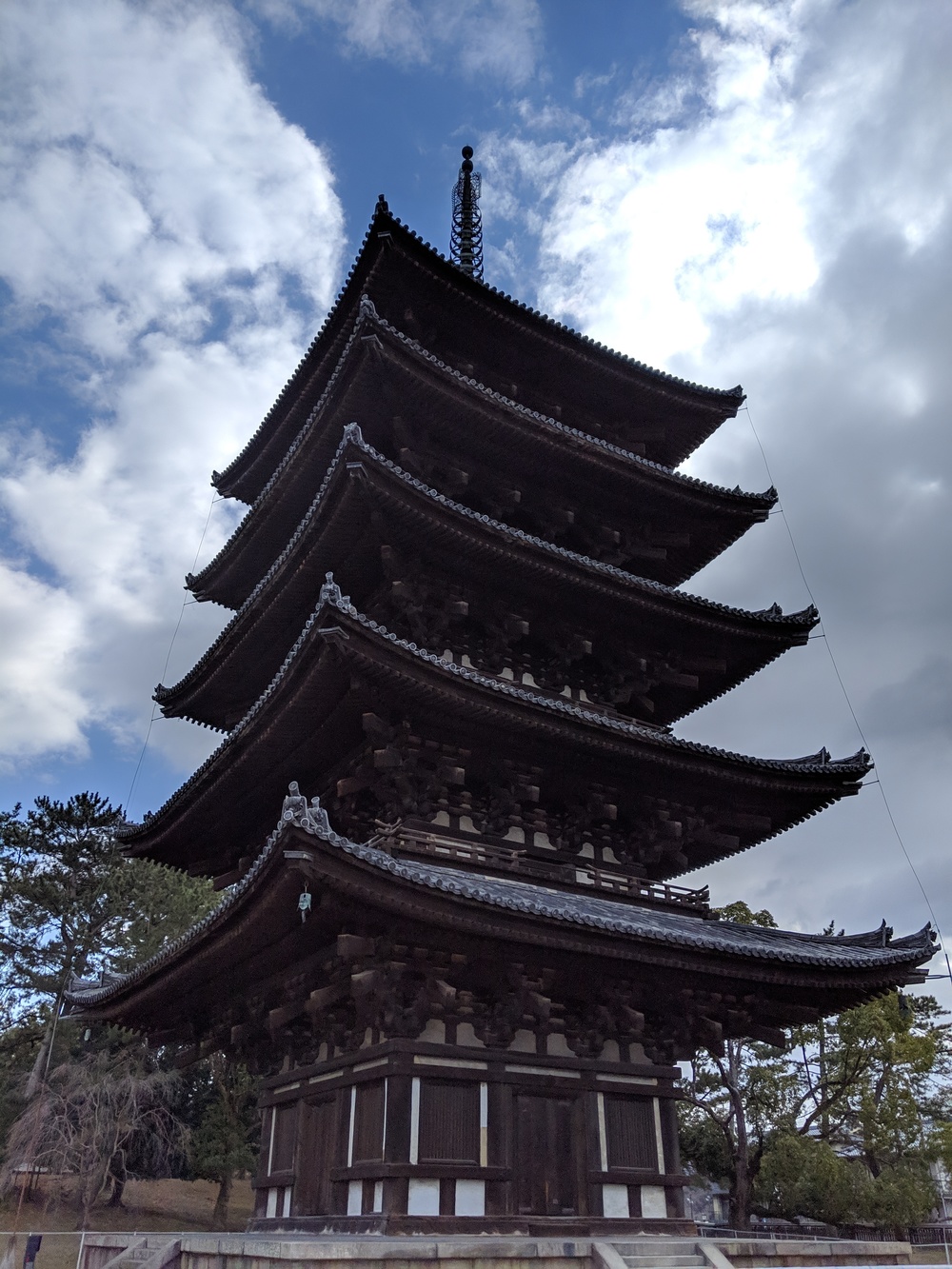 奈良 世界遺産エリアでお試しトレランコース 春日山原始林〜若草山の写真4