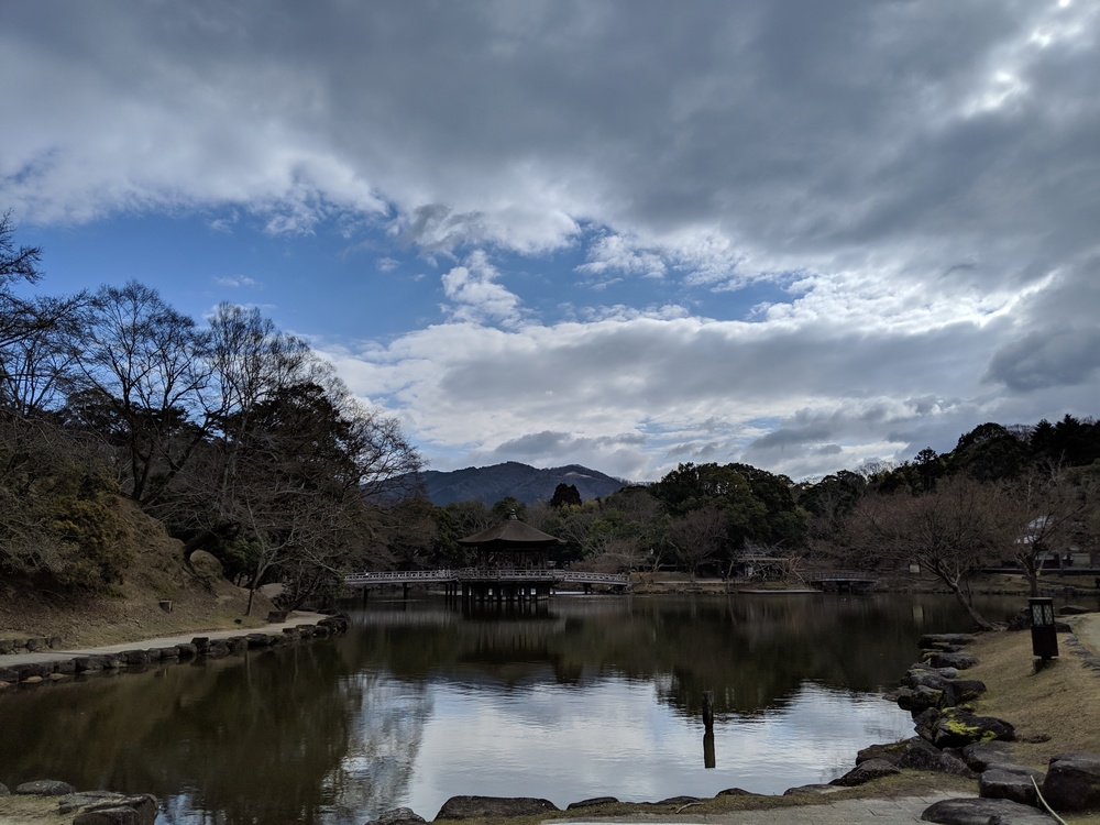奈良 世界遺産エリアでお試しトレランコース 春日山原始林〜若草山の写真5