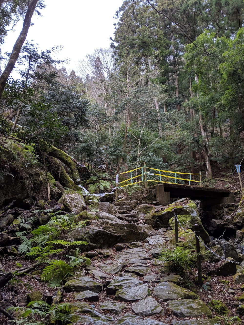 奈良 世界遺産エリアでお試しトレランコース 春日山原始林〜若草山の写真6