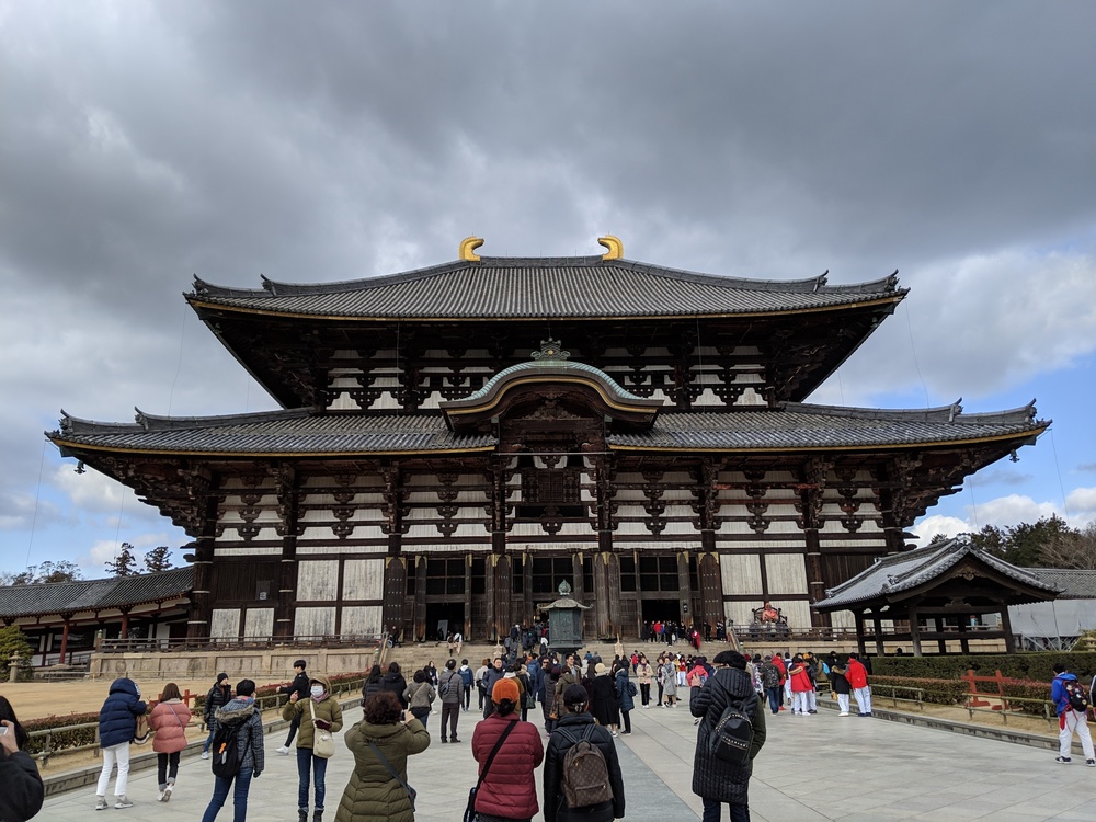 奈良 世界遺産エリアでお試しトレランコース 春日山原始林〜若草山の写真9