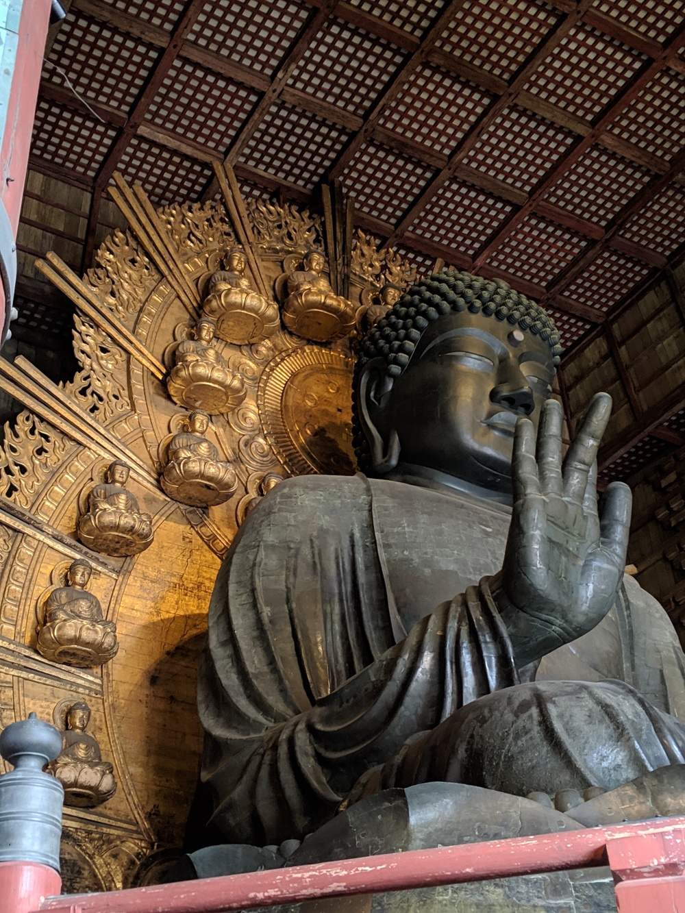 奈良 世界遺産エリアでお試しトレランコース 春日山原始林〜若草山の写真10