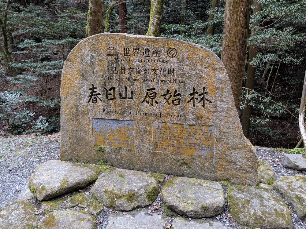 奈良 世界遺産エリアでお試しトレランコース 春日山原始林〜若草山の写真11