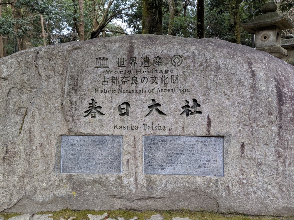 奈良 世界遺産エリアでお試しトレランコース 春日山原始林〜若草山の写真12