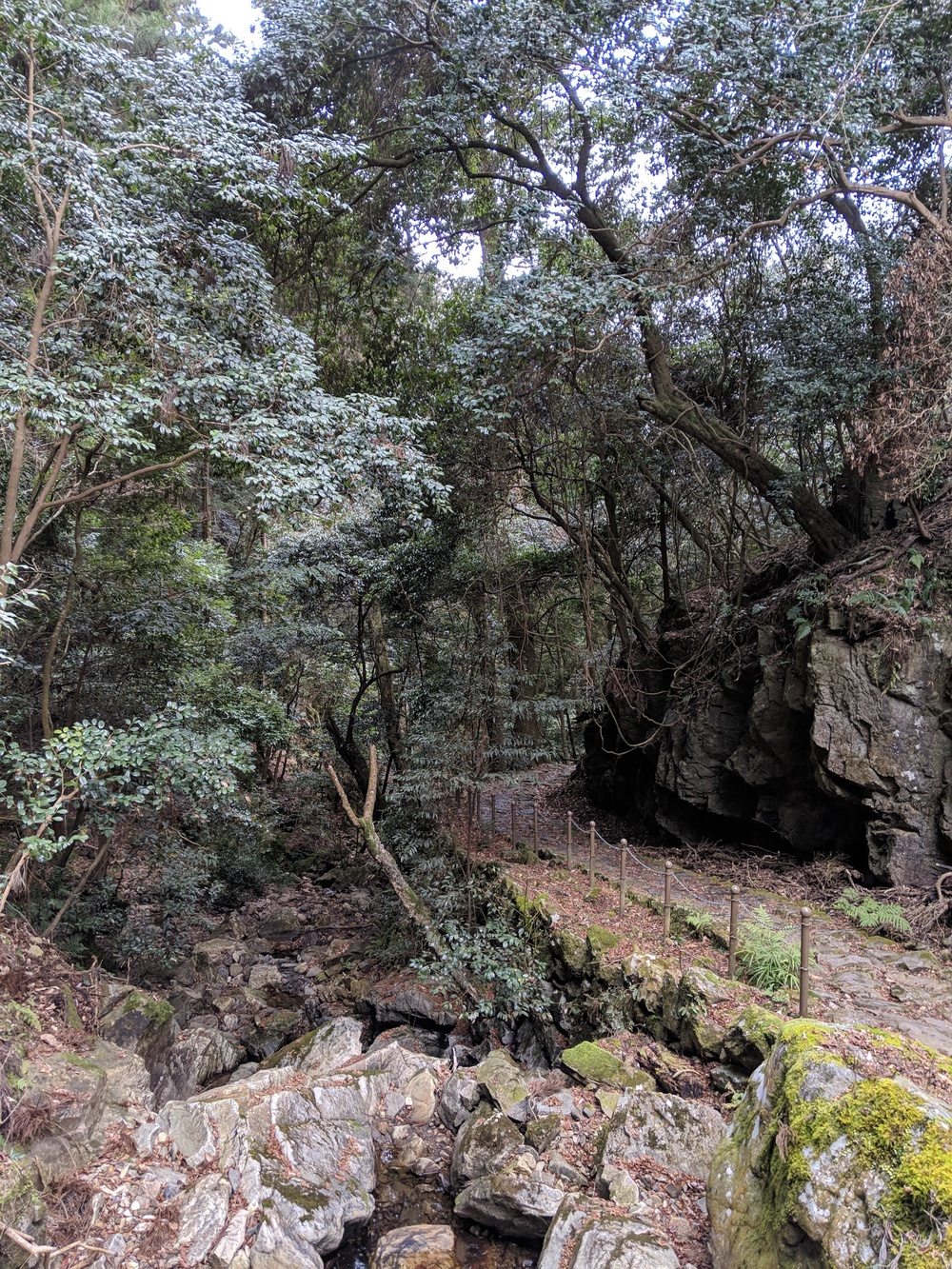奈良 世界遺産エリアでお試しトレランコース 春日山原始林〜若草山の写真13