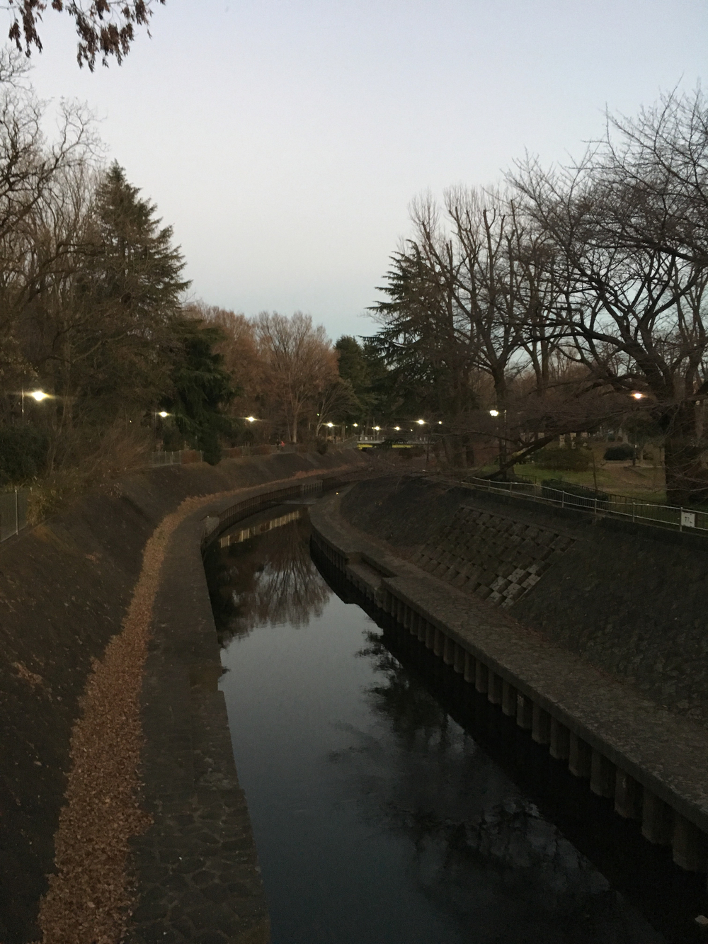 杉並区周回ラン！ 善福寺川〜神田川の写真3