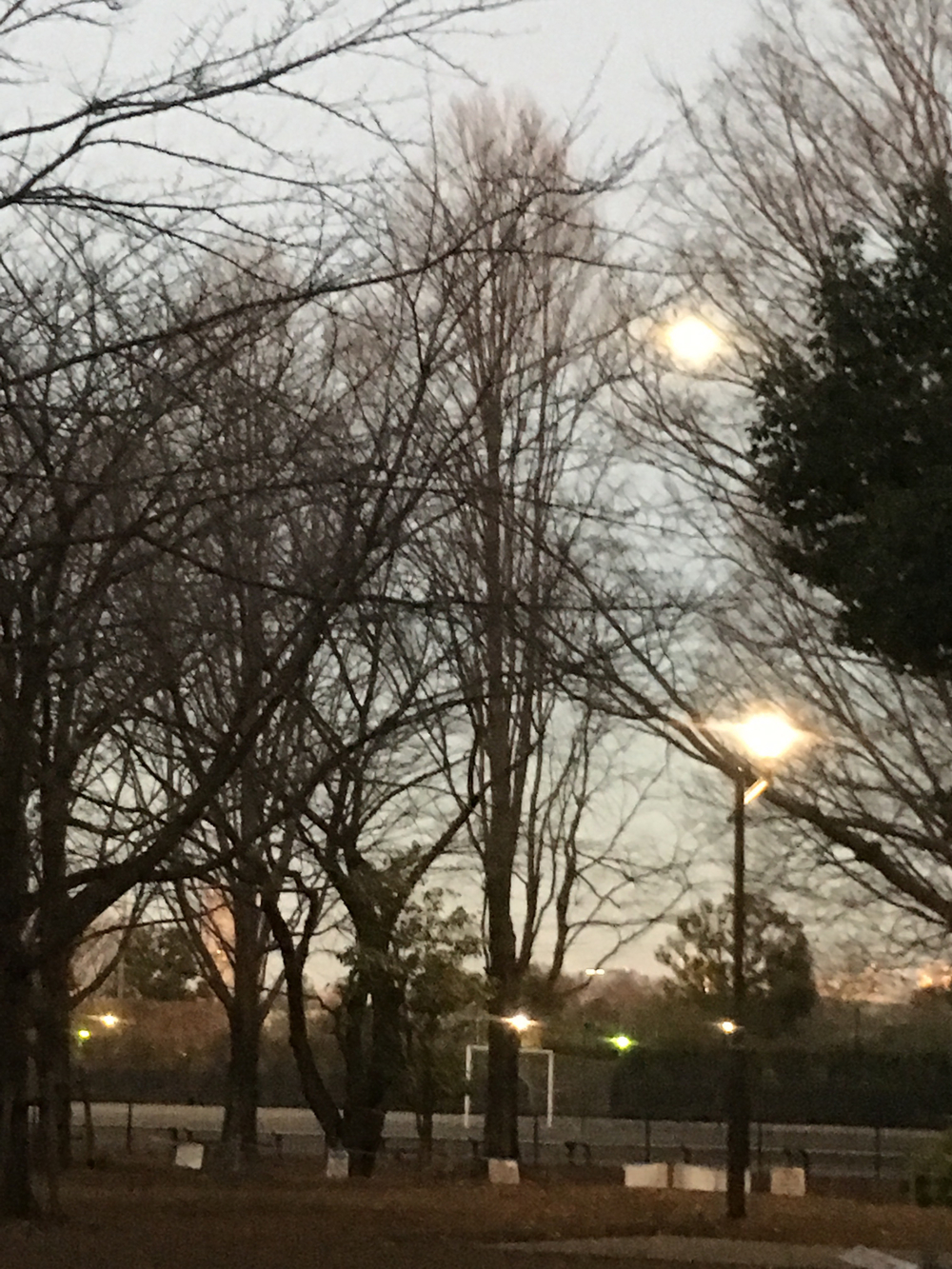 杉並区周回ラン！ 善福寺川〜神田川の写真5