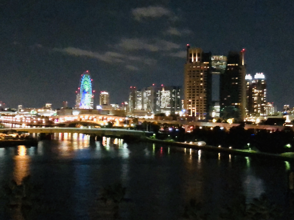 二台埠頭とお台場を巡る東京湾岸夜景の写真5