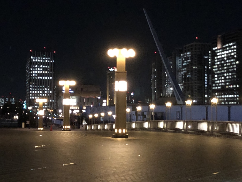 二台埠頭とお台場を巡る東京湾岸夜景の写真9
