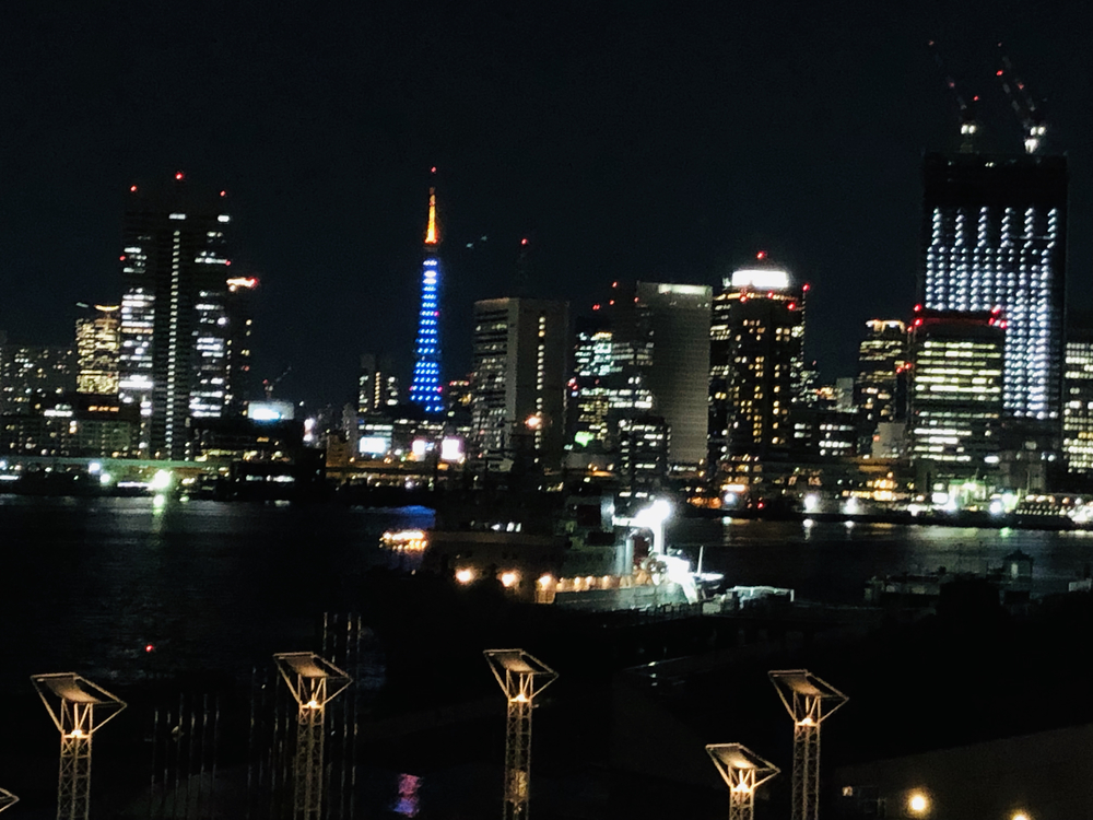 二台埠頭とお台場を巡る東京湾岸夜景の写真10