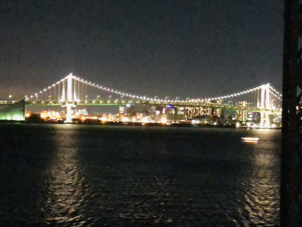 二台埠頭とお台場を巡る東京湾岸夜景の写真11