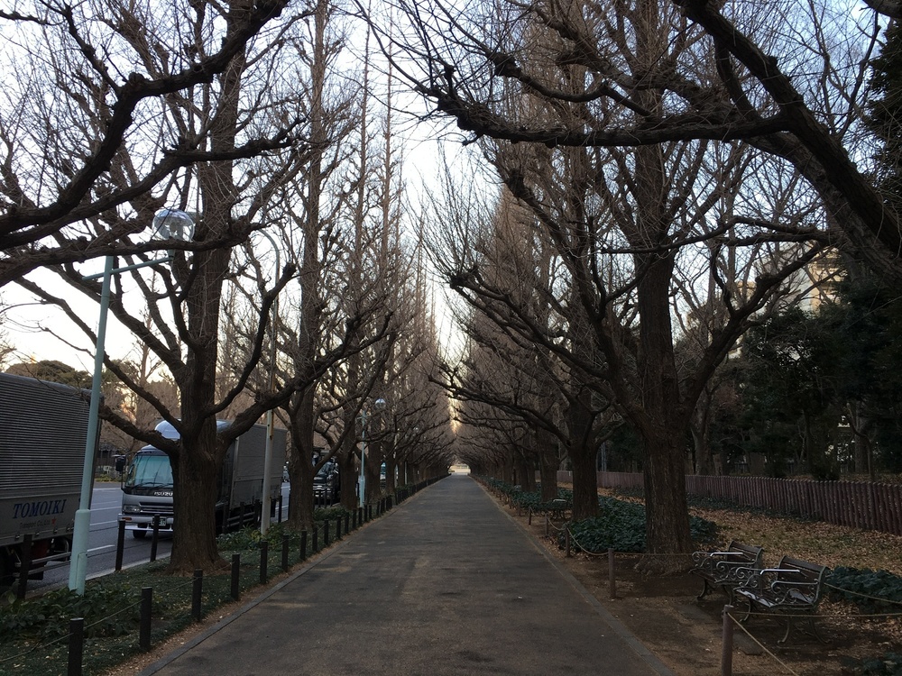 麻布十番〜六本木〜神宮外苑  早朝は人が少なく走りやすい！の写真4