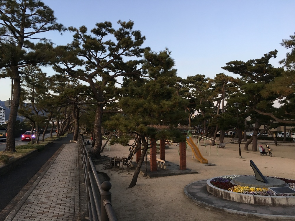 芦屋川沿いのライトアップを見ながらランの写真3