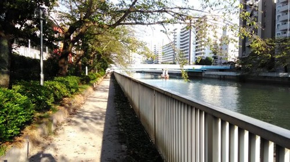 浅草からのリバーサイドコースの写真8