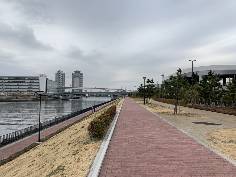 豊洲市場をぐるり湾岸ランニングの写真3