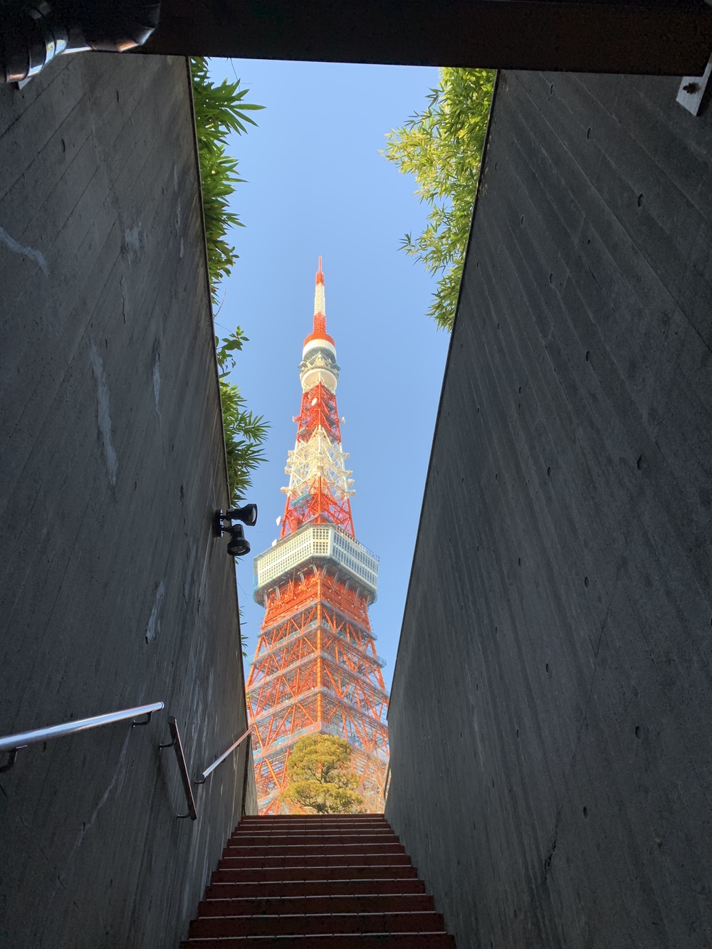 ひたすら東京タワーの写真4