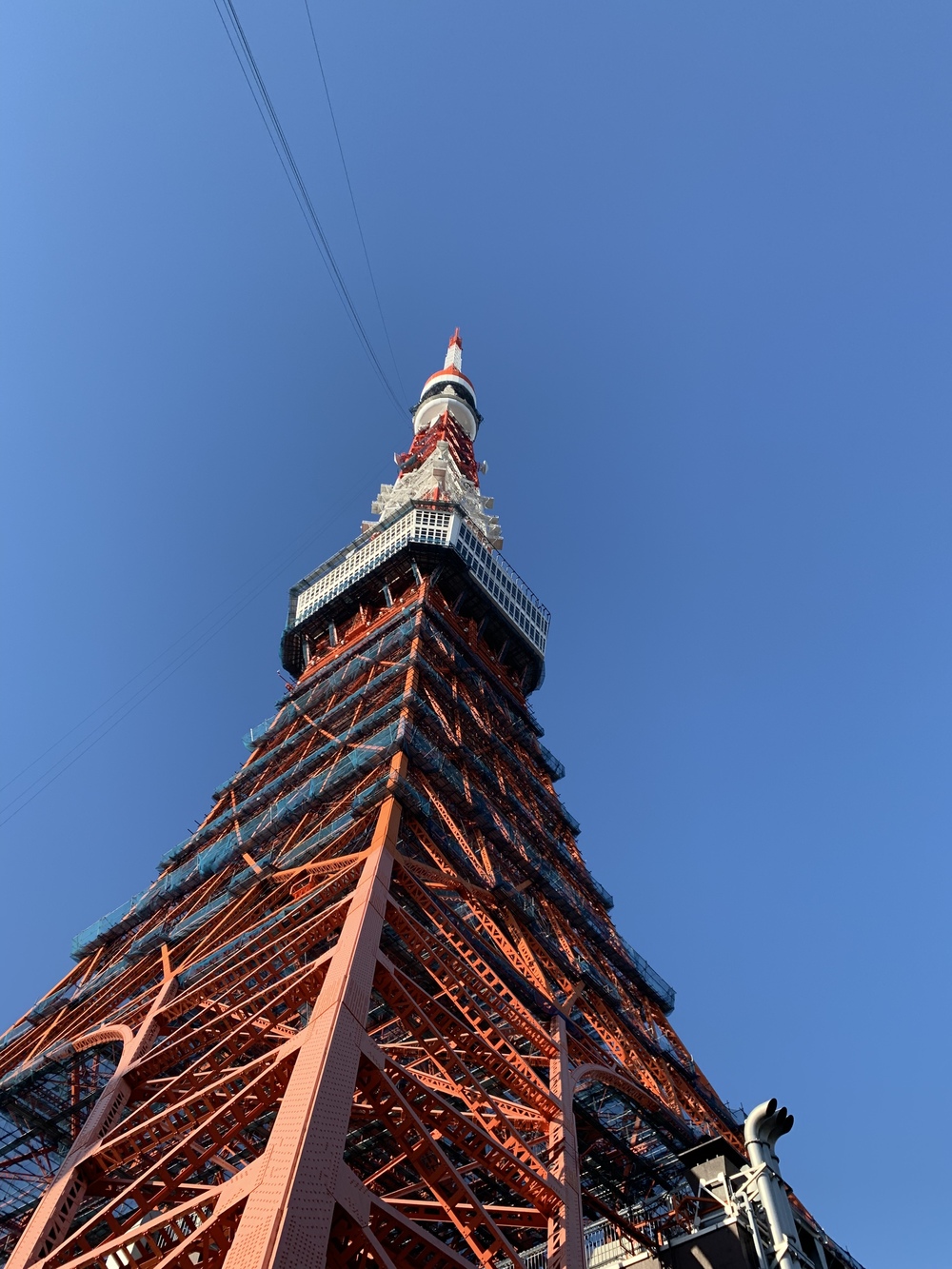 ひたすら東京タワーの写真5