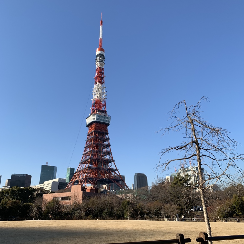 ひたすら東京タワーの写真6