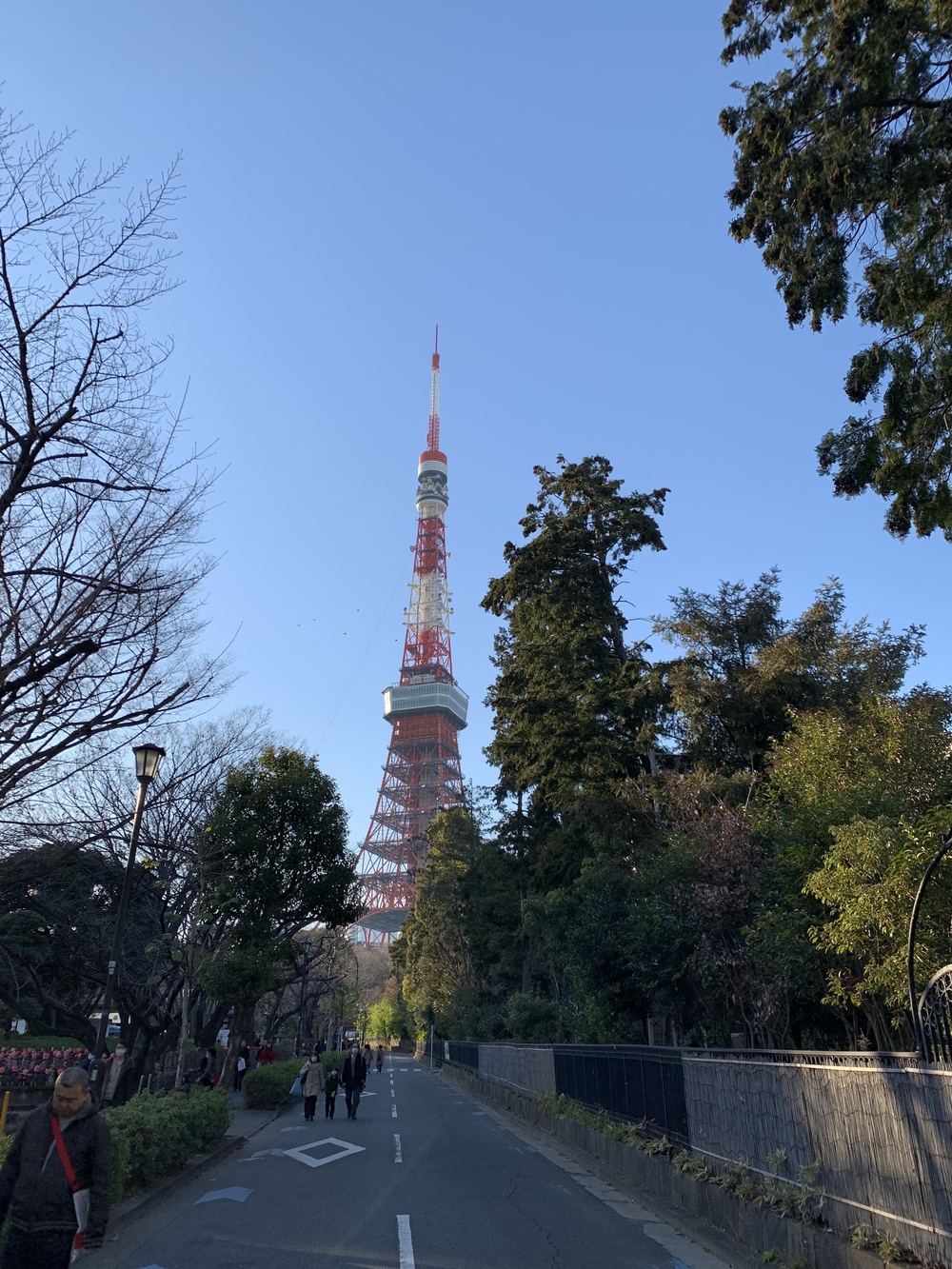 ひたすら東京タワーの写真8
