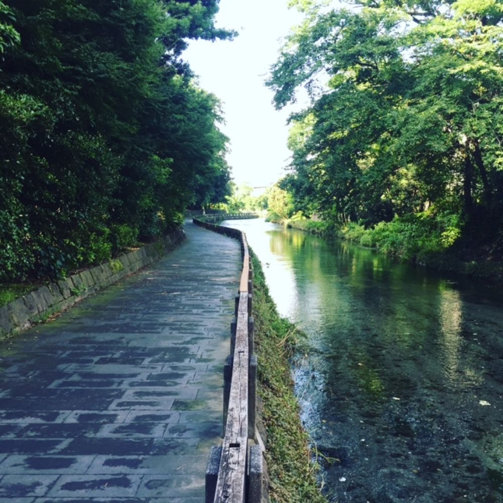 熊本を復興観光ランで応援しよう！の写真5