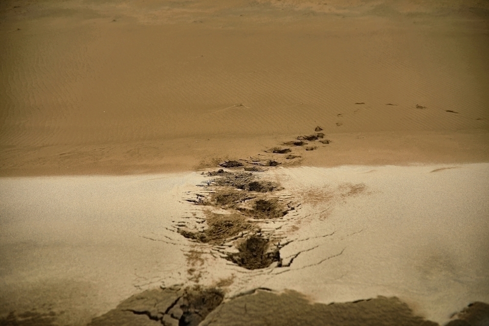 鳥取砂丘でクロスカントリーランの写真3