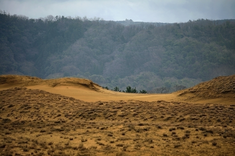 鳥取砂丘でクロスカントリーランの写真4