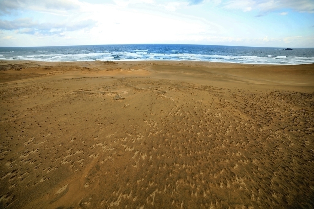 鳥取砂丘でクロスカントリーランの写真5