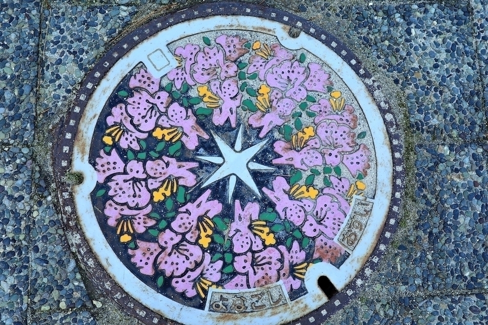 皆生温泉・弓ヶ浜シーサイドランの写真5