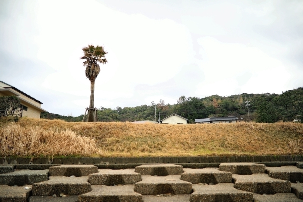 一直線の海岸線・持石海岸シーサイドランの写真4