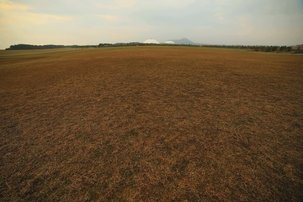 山口きらら博記念公園・4種のランコースの写真3