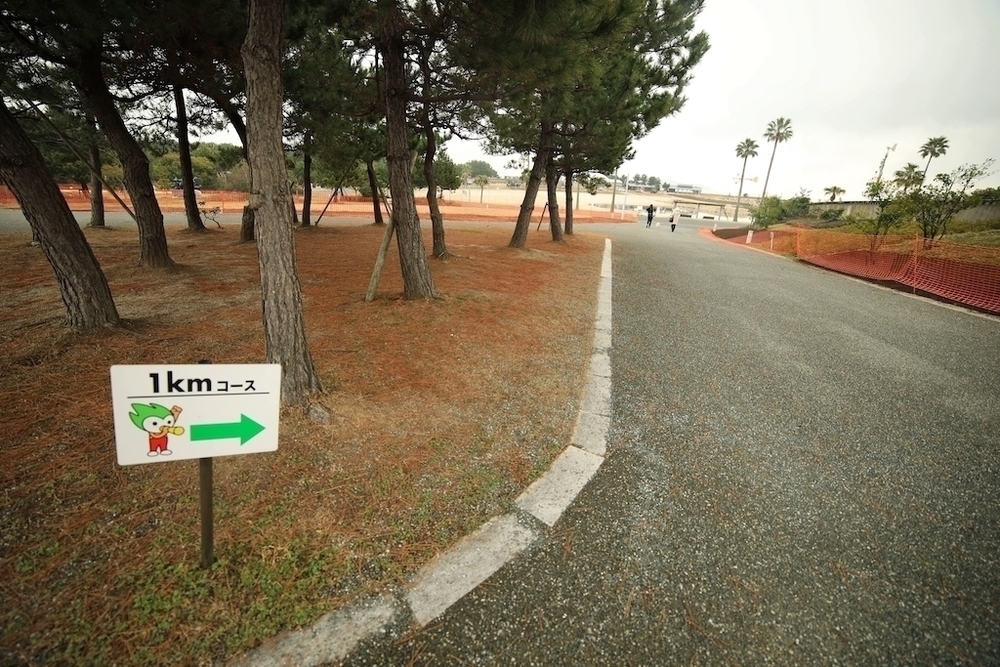 山口きらら博記念公園・4種のランコースの写真4