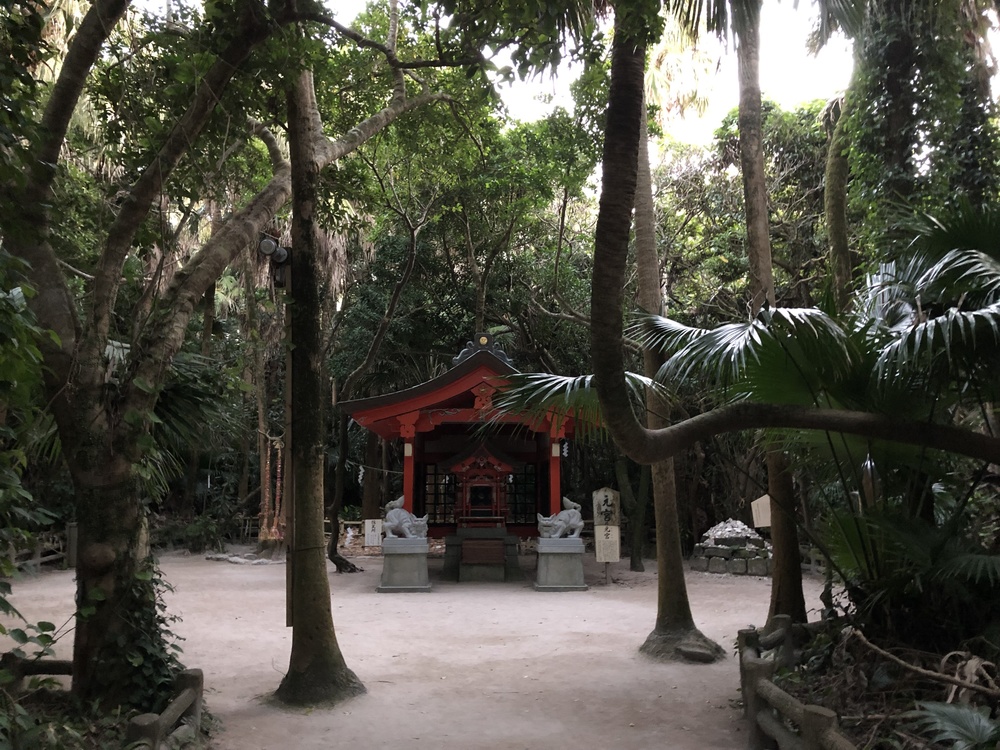 Aoshima Morning Runtripの写真5