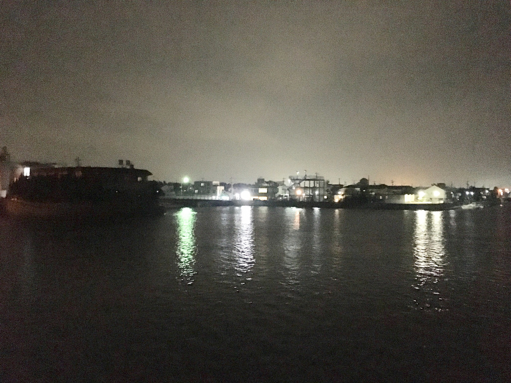 出張ラン 東海二湖(浜名湖/佐鳴湖)巡りランの写真3