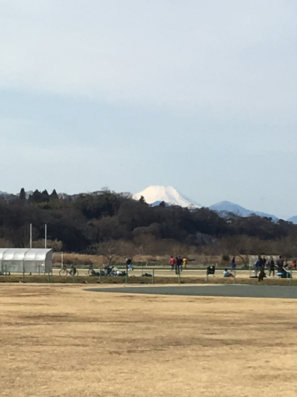 富士眺望 多摩川周回ラン  稲城市〜府中市〜稲城市の写真3