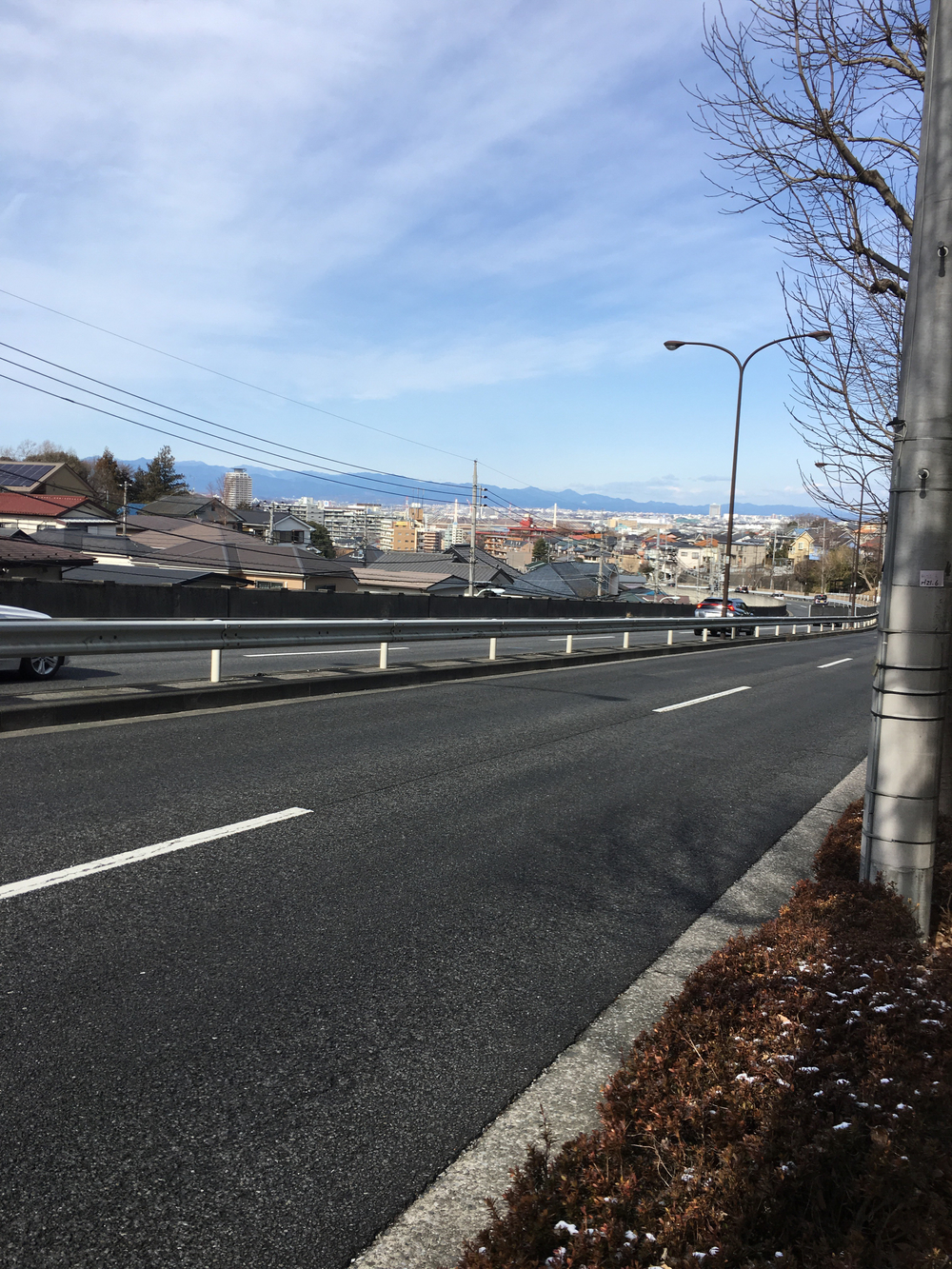 富士眺望 多摩川周回ラン  稲城市〜府中市〜稲城市の写真4