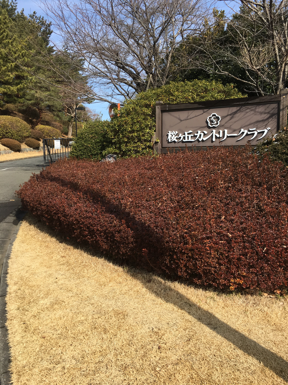 富士眺望 多摩川周回ラン  稲城市〜府中市〜稲城市の写真5