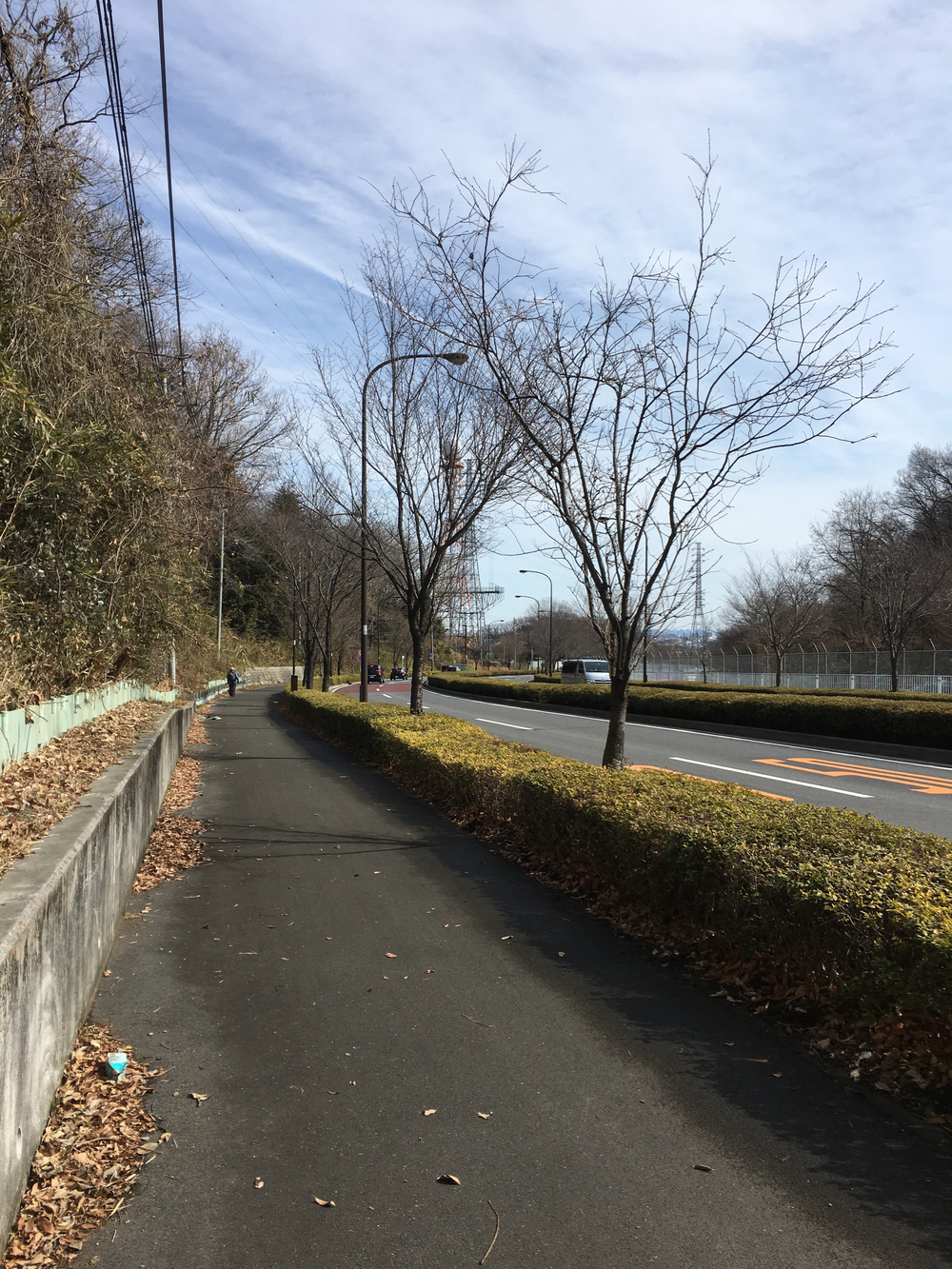 富士眺望 多摩川周回ラン  稲城市〜府中市〜稲城市の写真6